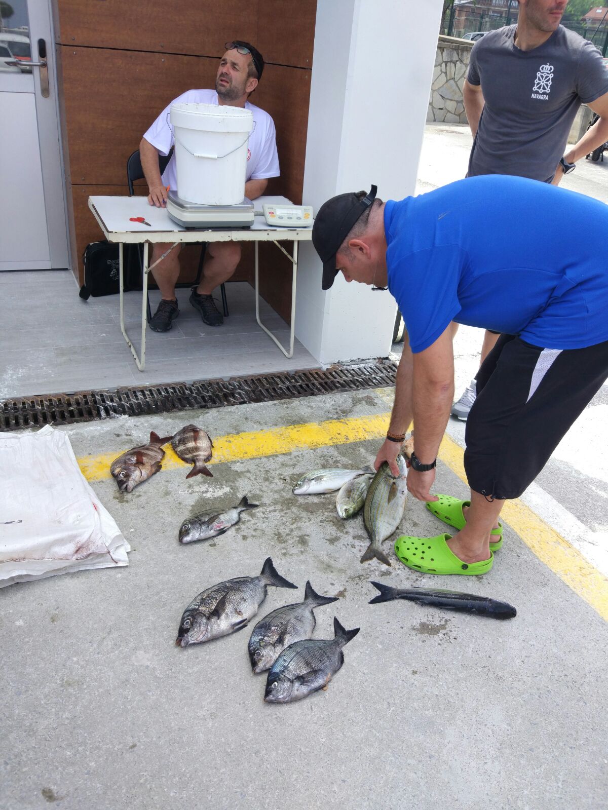 Campeonato Navarro Pesca Submarina Individual